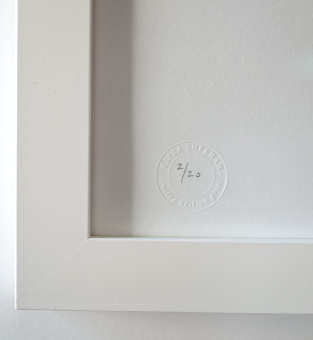 Loop print - LIMITED EDITION