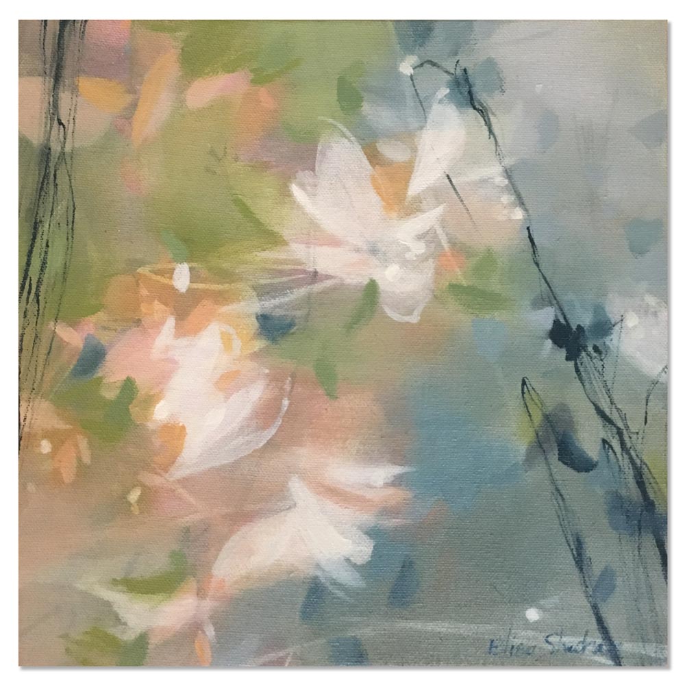 First Magnolia II