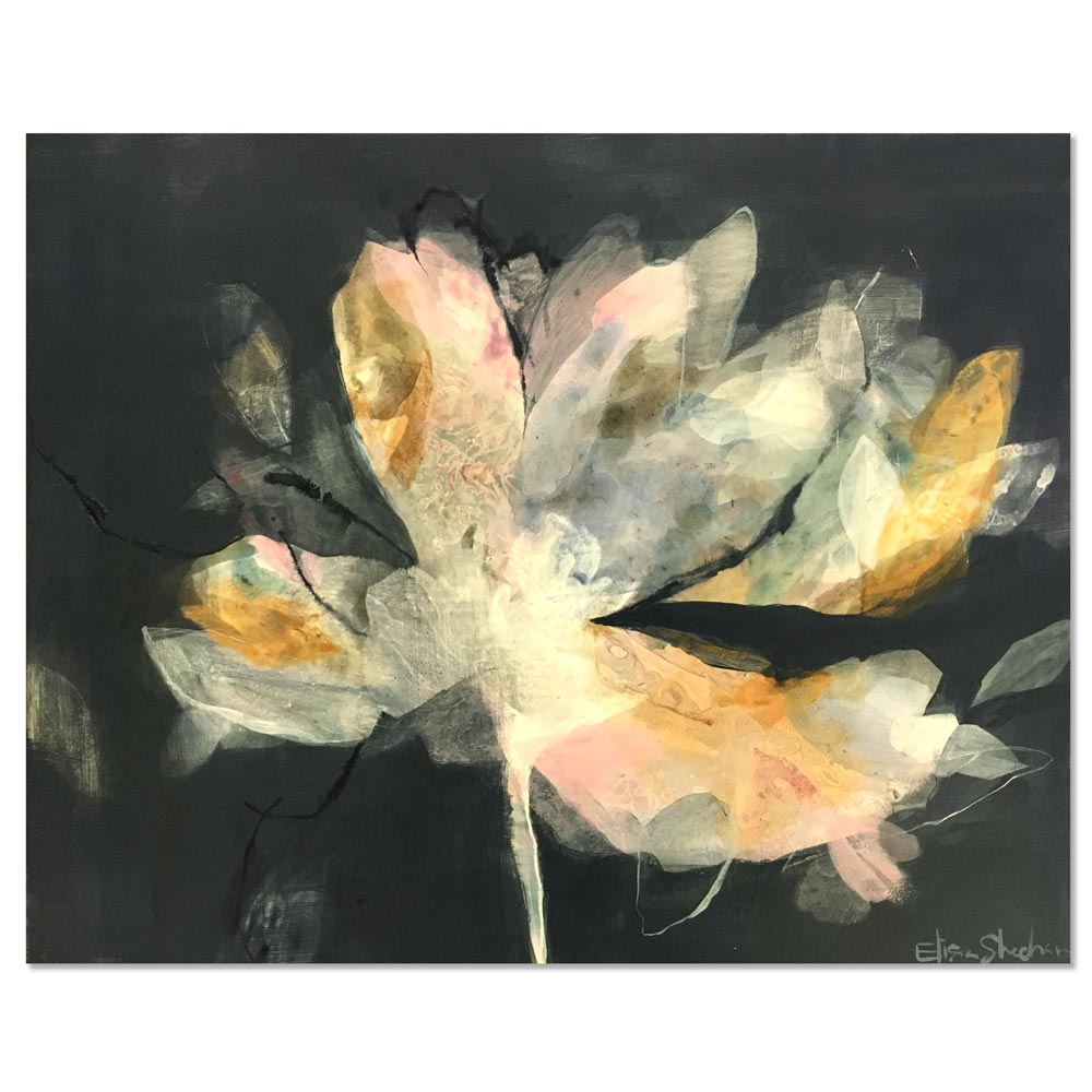 Magnolia Gloaming II